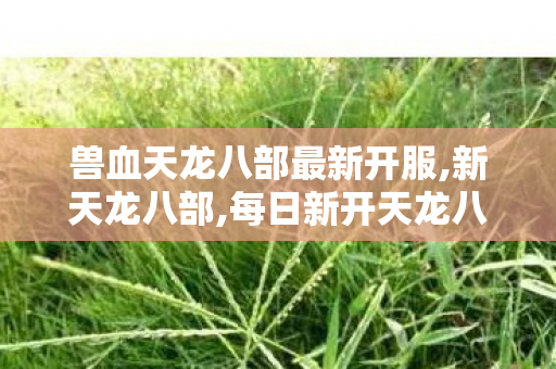 兽血天龙八部最新开服,新天龙八部,每日新开天龙八部私服,新天龙八部