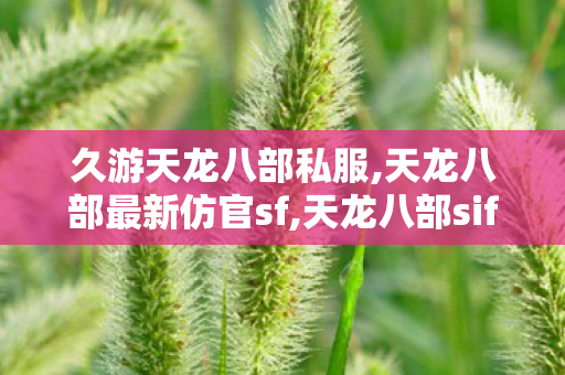 久游天龙八部私服,天龙八部最新仿官sf,天龙八部sif,天龙八部最新仿官sf