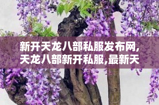 新开天龙八部私服发布网,天龙八部新开私服,最新天龙八部私服,天龙八部新开私服
