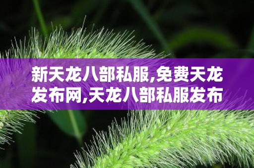 新天龙八部私服,免费天龙发布网,天龙八部私服发布网变态,免费天龙发布网