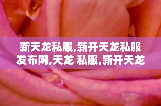 新天龙私服,新开天龙私服发布网,天龙 私服,新开天龙私服发布网