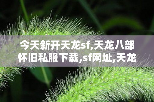 今天新开天龙sf,天龙八部怀旧私服下载,sf网址,天龙八部怀旧私服下载