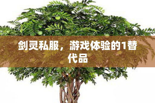 剑灵私服，游戏体验的1替代品