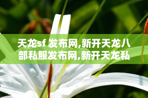 天龙sf 发布网,新开天龙八部私服发布网,新开天龙私服网站,新开天龙八部私服发布网