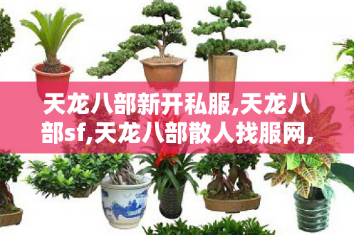 天龙八部新开私服,天龙八部sf,天龙八部散人找服网,天龙八部sf