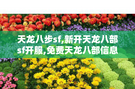 天龙八步sf,新开天龙八部sf开服,免费天龙八部信息发布网,新开天龙八部sf开服