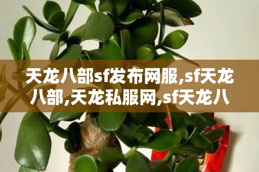 天龙八部sf发布网服,sf天龙八部,天龙私服网,sf天龙八部