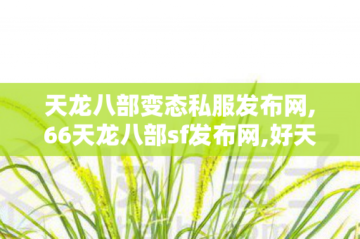 天龙八部变态私服发布网,66天龙八部sf发布网,好天龙八部sf发布网,66天龙八部sf发布网
