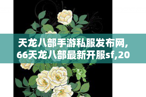 天龙八部手游私服发布网,66天龙八部最新开服sf,2019天龙八部sf发布网站,66天龙八部最新开服sf