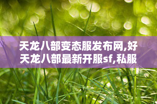 天龙八部变态服发布网,好天龙八部最新开服sf,私服天龙八部发布网,好天龙八部最新开服sf