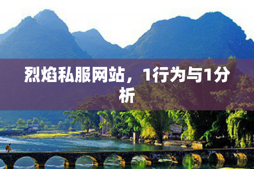 烈焰私服网站，1行为与1分析