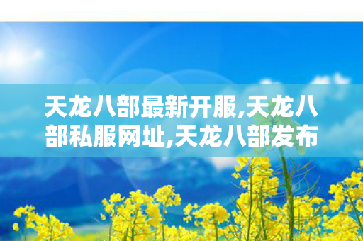天龙八部最新开服,天龙八部私服网址,天龙八部发布,天龙八部私服网址
