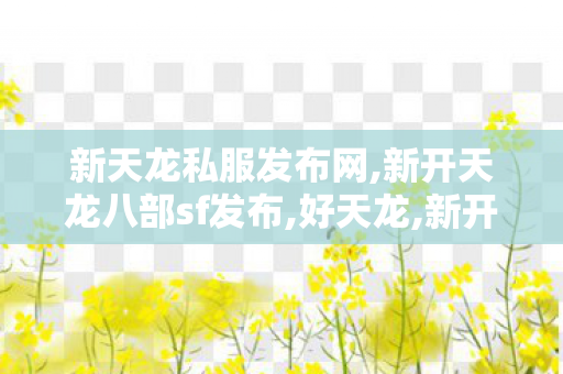 新天龙私服发布网,新开天龙八部sf发布,好天龙,新开天龙八部sf发布