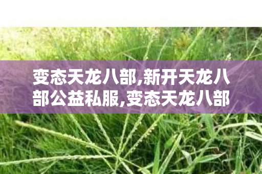 变态天龙八部,新开天龙八部公益私服,变态天龙八部,新开天龙八部公益私服