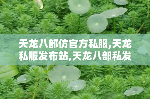 天龙八部仿官方私服,天龙私服发布站,天龙八部私发网,天龙私服发布站