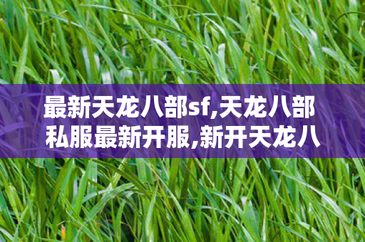 最新天龙八部sf,天龙八部 私服最新开服,新开天龙八部变态sf网,天龙八部 私服最新开服