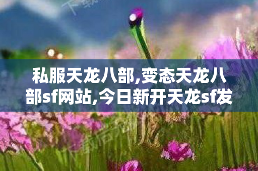 私服天龙八部,变态天龙八部sf网站,今日新开天龙sf发布网,变态天龙八部sf网站
