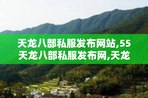 天龙八部私服发布网站,55天龙八部私服发布网,天龙私服发布站,55天龙八部私服发布网