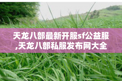 天龙八部最新开服sf公益服,天龙八部私服发布网大全,天龙八部私服中国最大,天龙八部私服发布网大全