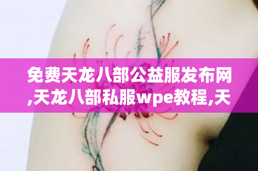 免费天龙八部公益服发布网,天龙八部私服wpe教程,天龙sf最新发布网,天龙八部私服wpe教程