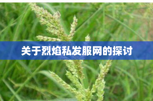 关于烈焰私发服网的探讨