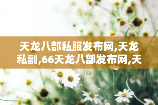天龙八部私服发布网,天龙私副,66天龙八部发布网,天龙私副
