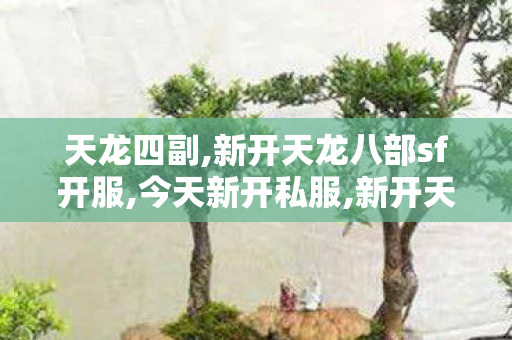 天龙四副,新开天龙八部sf开服,今天新开私服,新开天龙八部sf开服