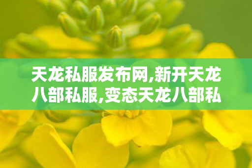 天龙私服发布网,新开天龙八部私服,变态天龙八部私服,新开天龙八部私服