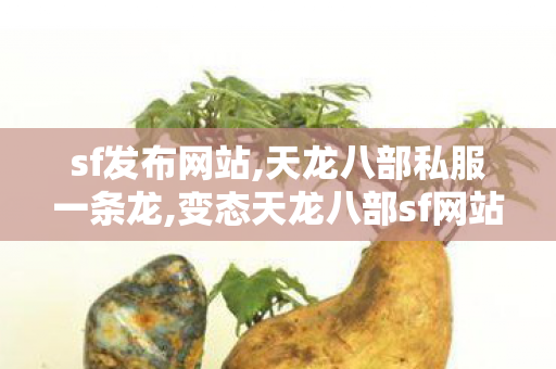 sf发布网站,天龙八部私服一条龙,变态天龙八部sf网站,天龙八部私服一条龙