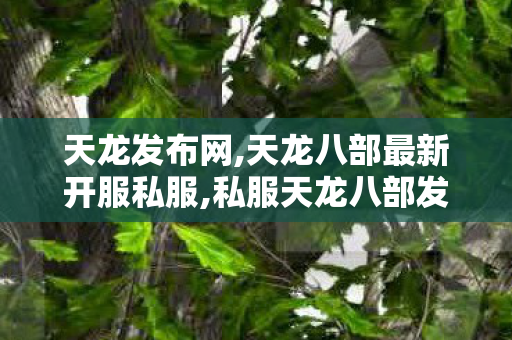 天龙发布网,天龙八部最新开服私服,私服天龙八部发布网,天龙八部最新开服私服