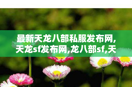 最新天龙八部私服发布网,天龙sf发布网,龙八部sf,天龙sf发布网