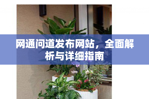 网通问道发布网站，全面解析与详细指南