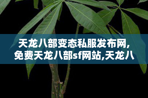 天龙八部变态私服发布网,免费天龙八部sf网站,天龙八部2私服,免费天龙八部sf网站