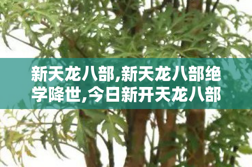 新天龙八部,新天龙八部绝学降世,今日新开天龙八部私服,新天龙八部绝学降世