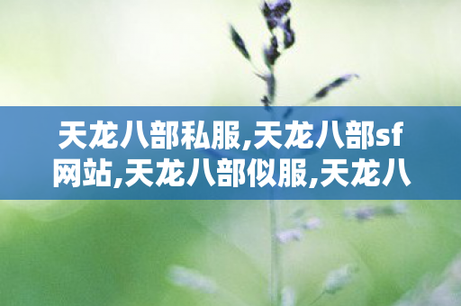 天龙八部私服,天龙八部sf网站,天龙八部似服,天龙八部sf网站