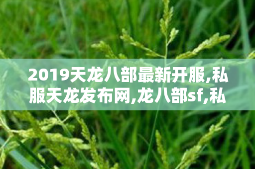 2019天龙八部最新开服,私服天龙发布网,龙八部sf,私服天龙发布网