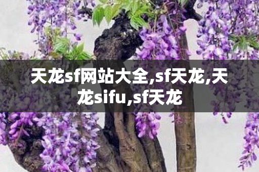 天龙sf网站大全,sf天龙,天龙sifu,sf天龙
