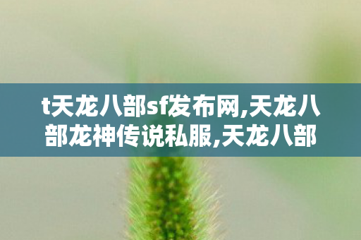 t天龙八部sf发布网,天龙八部龙神传说私服,天龙八部私发布网服,天龙八部龙神传说私服