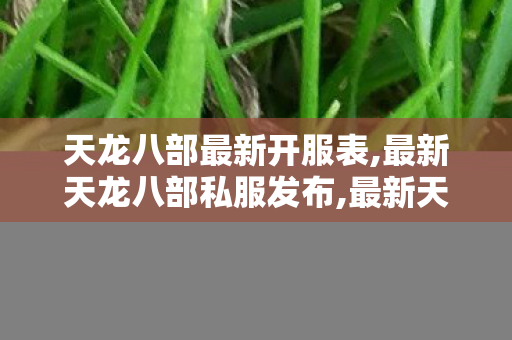 天龙八部最新开服表,最新天龙八部私服发布,最新天龙八部sf网站,最新天龙八部私服发布
