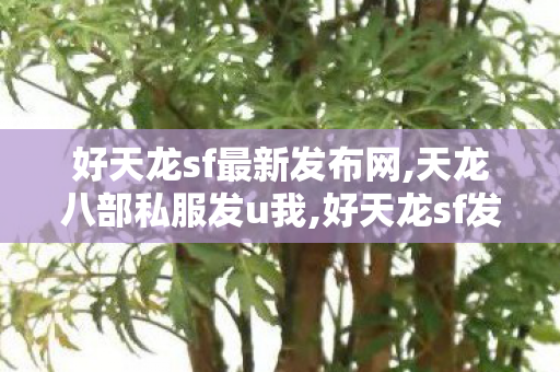 好天龙sf最新发布网,天龙八部私服发u我,好天龙sf发布网站,天龙八部私服发u我