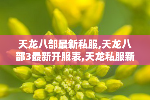 天龙八部最新私服,天龙八部3最新开服表,天龙私服新开,天龙八部3最新开服表