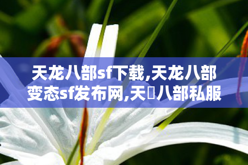 天龙八部sf下载,天龙八部变态sf发布网,天龍八部私服,天龙八部变态sf发布网