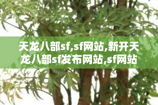 天龙八部sf,sf网站,新开天龙八部sf发布网站,sf网站
