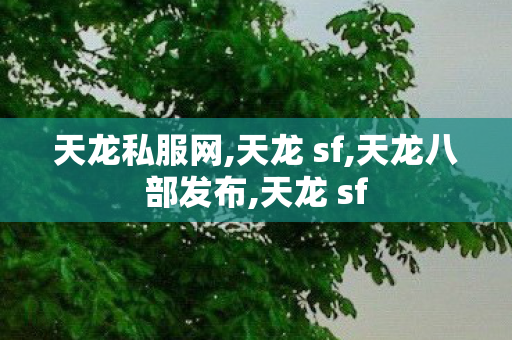 天龙私服网,天龙 sf,天龙八部发布,天龙 sf