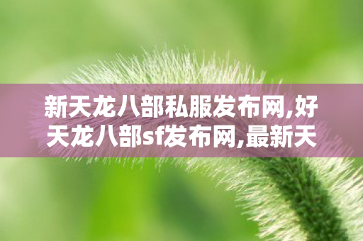 新天龙八部私服发布网,好天龙八部sf发布网,最新天龙八部私服发布,好天龙八部sf发布网