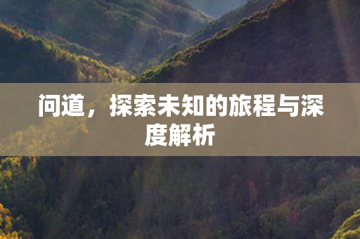 问道，探索未知的旅程与深度解析