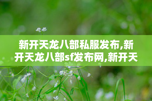 新开天龙八部私服发布,新开天龙八部sf发布网,新开天龙sf,新开天龙八部sf发布网