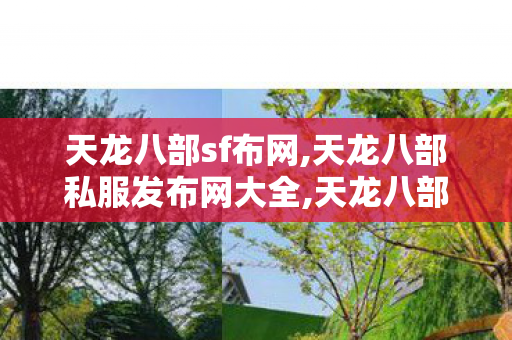 天龙八部sf布网,天龙八部私服发布网大全,天龙八部仿官方私服,天龙八部私服发布网大全