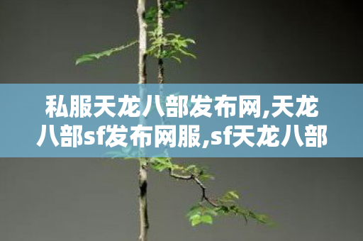 私服天龙八部发布网,天龙八部sf发布网服,sf天龙八部,天龙八部sf发布网服