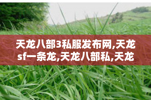天龙八部3私服发布网,天龙sf一条龙,天龙八部私,天龙sf一条龙